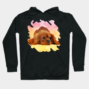 Cavalier King Charles Spaniel Hoodie